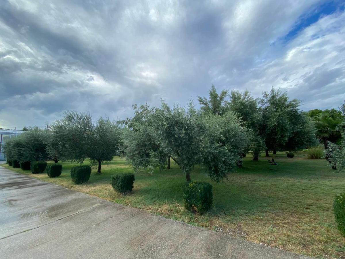 Olive Apartment Podgorica Eksteriør billede