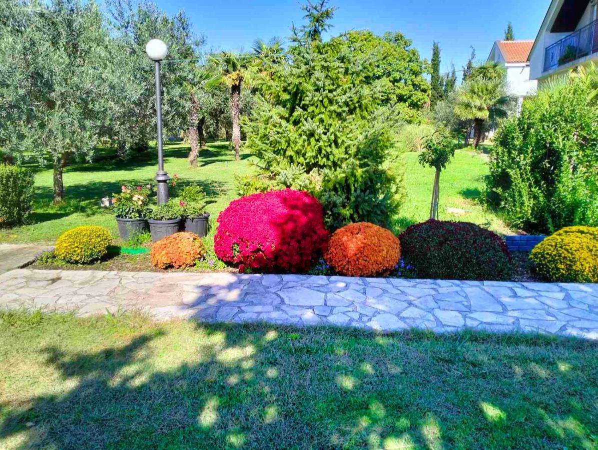Olive Apartment Podgorica Eksteriør billede
