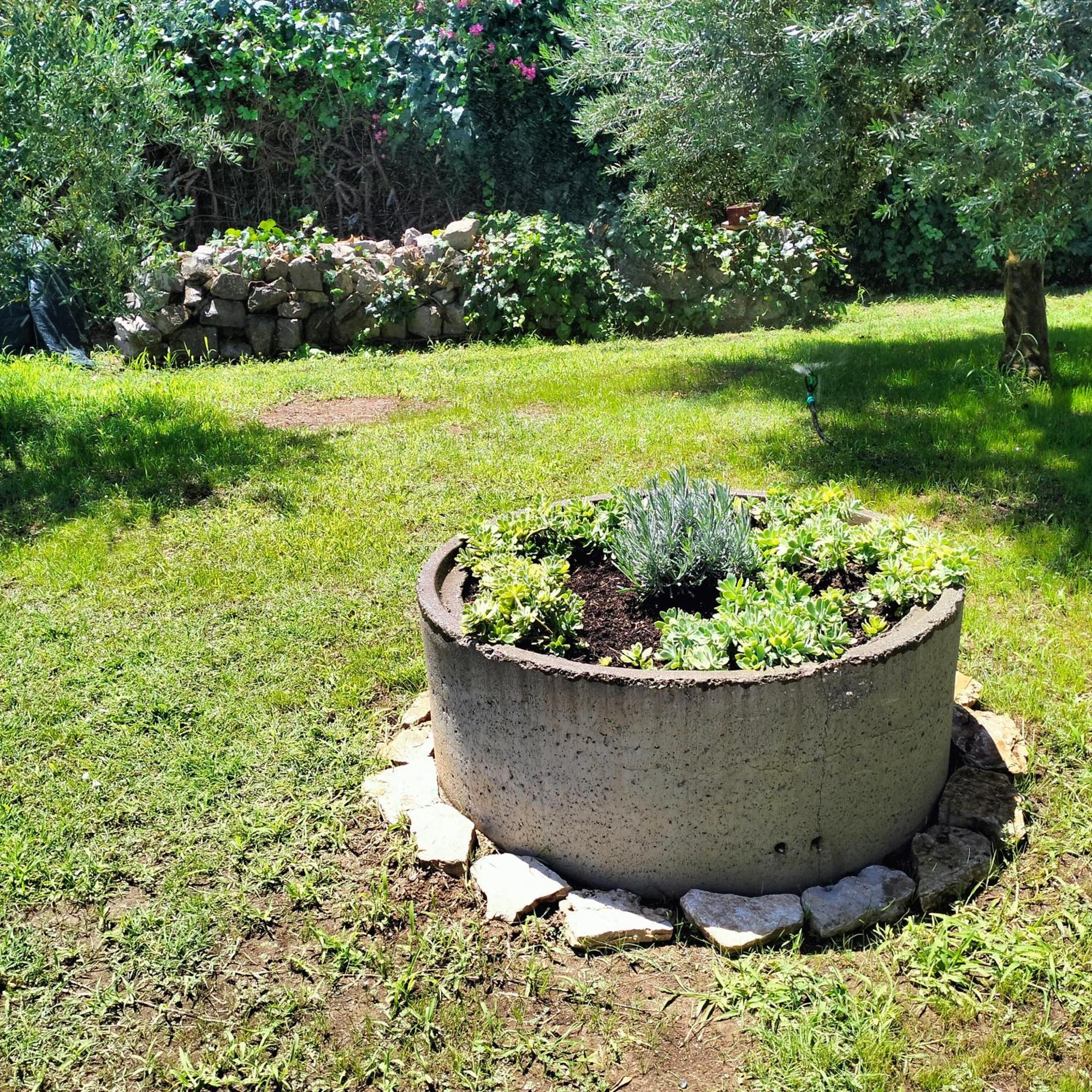 Olive Apartment Podgorica Eksteriør billede