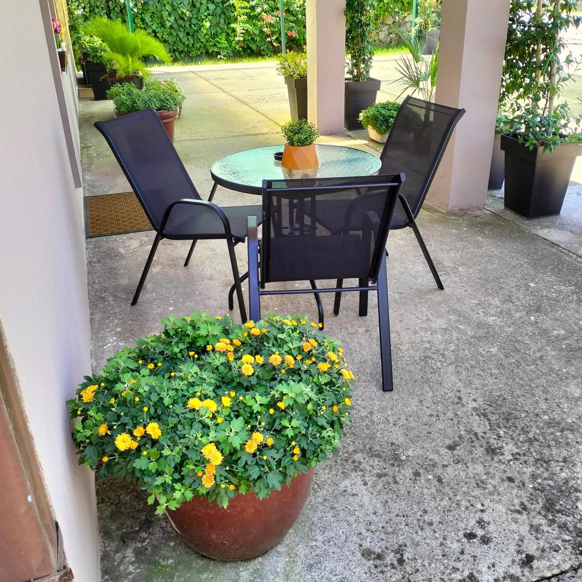 Olive Apartment Podgorica Eksteriør billede