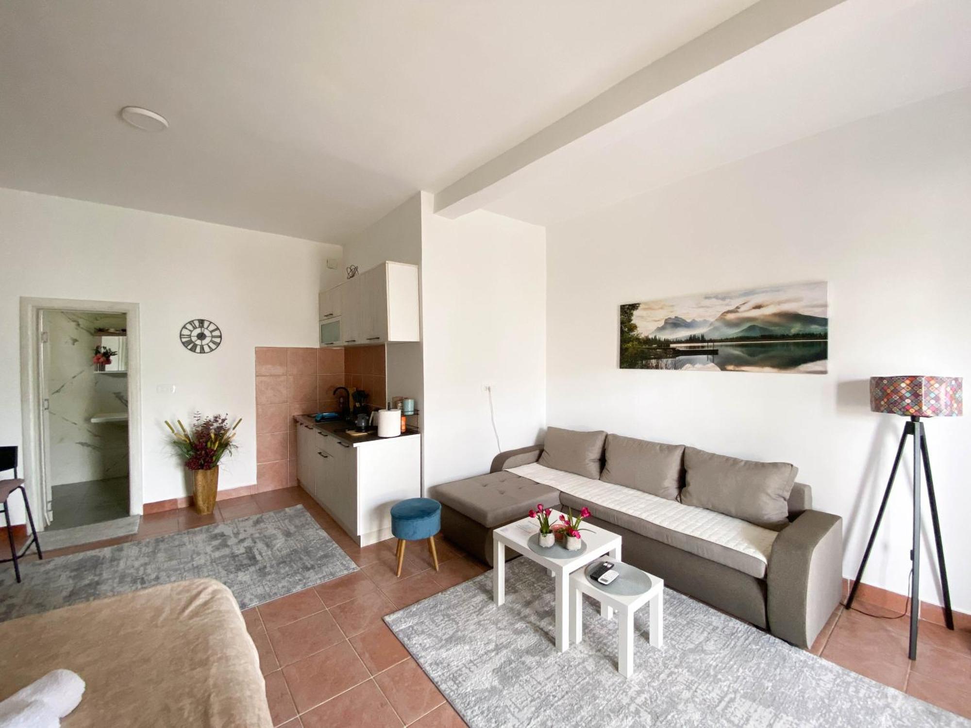 Olive Apartment Podgorica Eksteriør billede